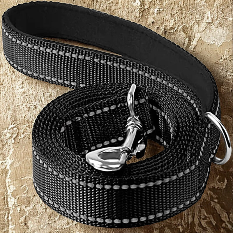 Laisse pour chien | Laisse ma Patte™