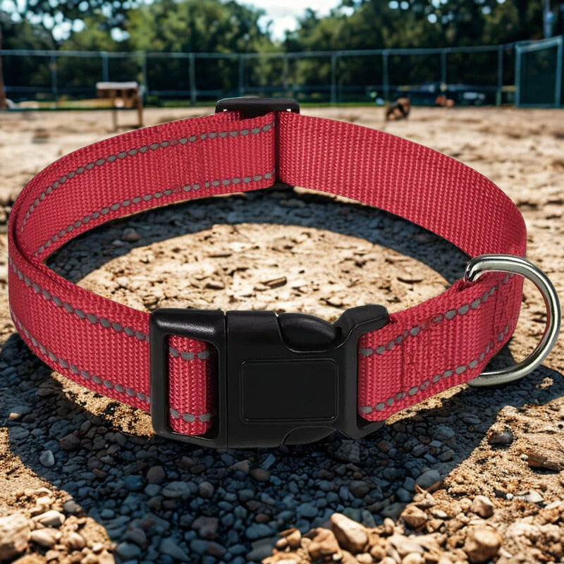 Collier pour chien | ReflexPatte™