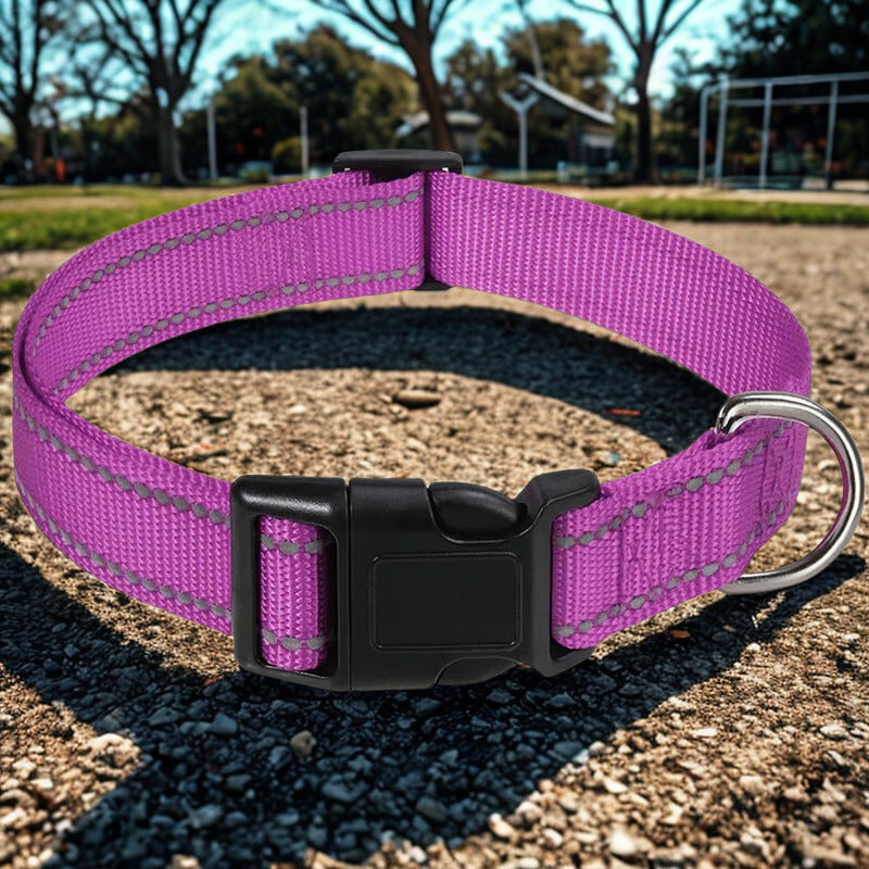 Collier pour chien | ReflexPatte™