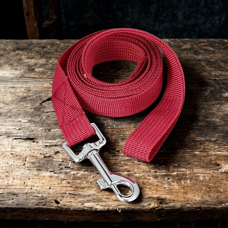 Longe Chiens | Patte Utile 20M™