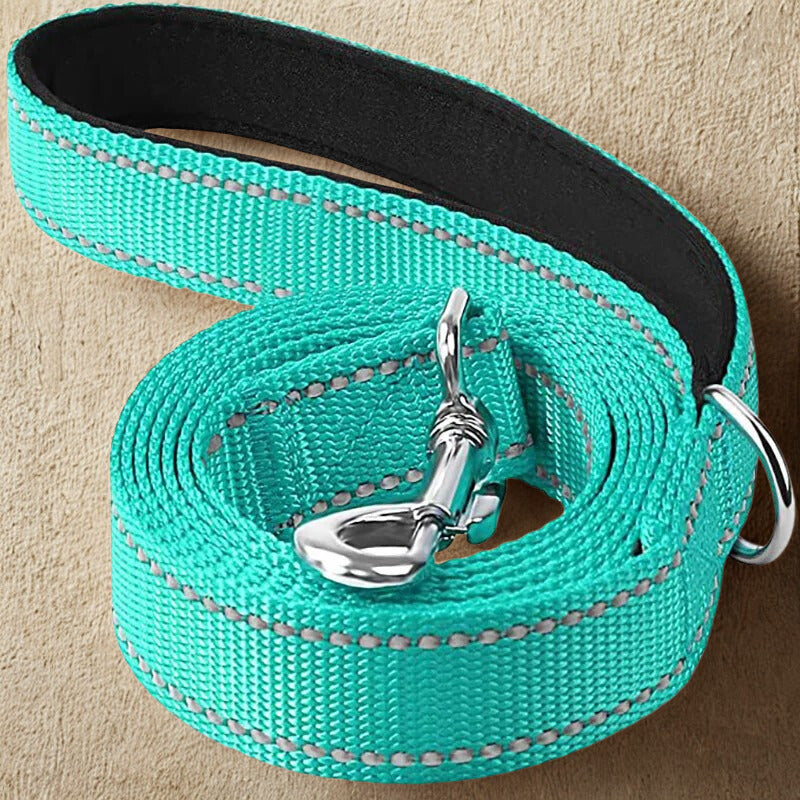Laisse pour chien | Laisse ma Patte™