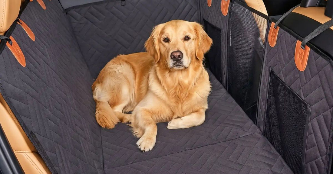 housse-et-protection-de-siege-de-voiture-pour-chien-sur-sieges-en-cuir