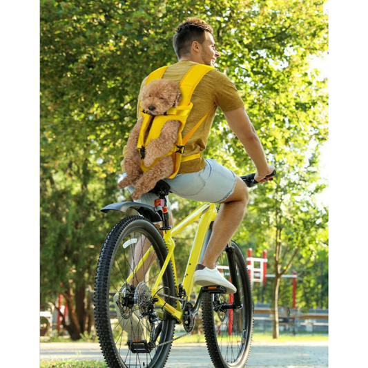 sac-a-dos-chien-balade-urbaine-velo