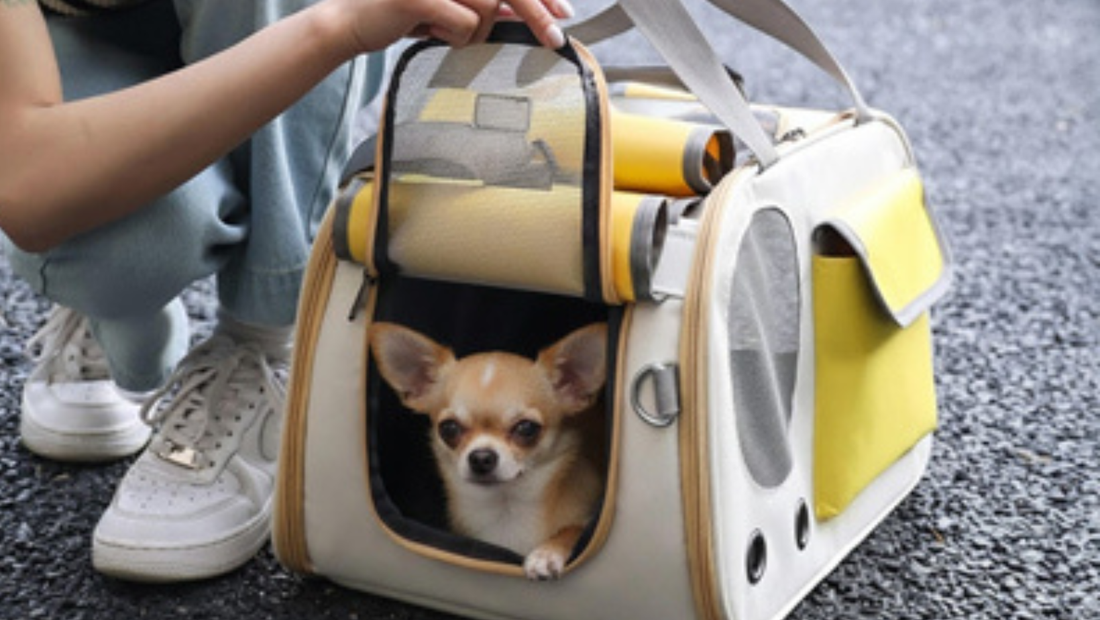 sac-de-transport-pour-chien-chihuahua-securitaire