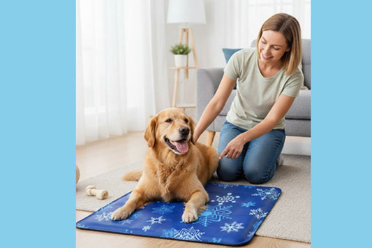 golden retriever couché sur son tapis rafraichissant pour chien