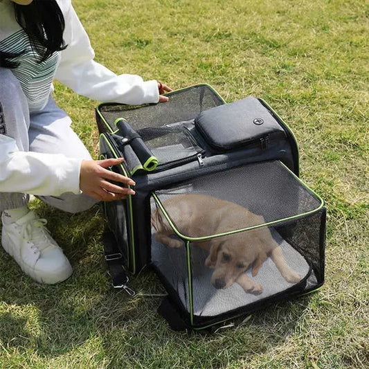 Comment choisir le meilleur sac de transport pour chien en voiture
