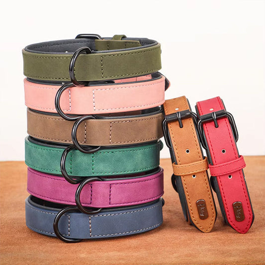 Collier-cuir-pour-chien-confort-elegance