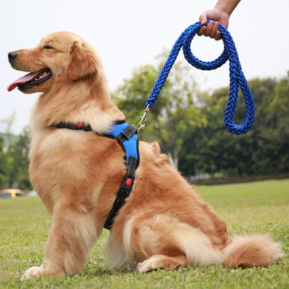 Laisse chien contrôle proximité