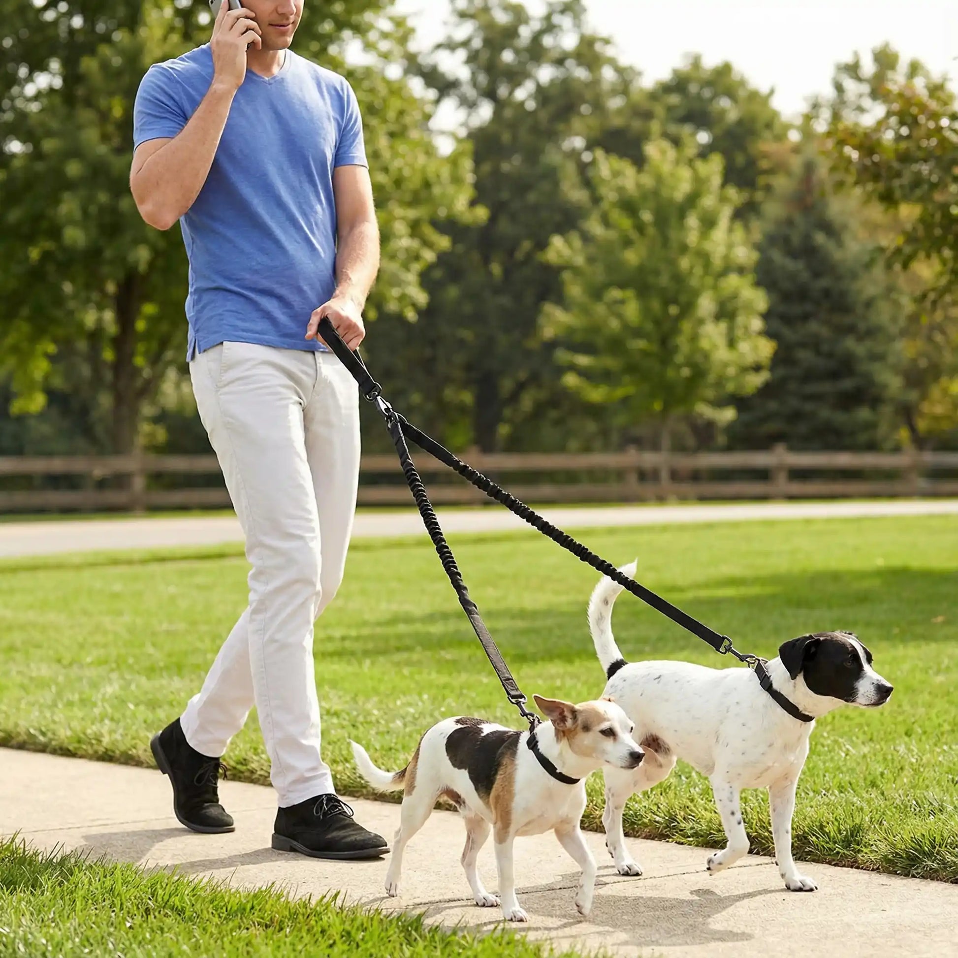 Laisse de chien double et pratique