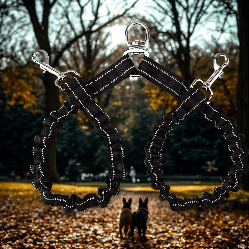 Laisse de chien fonctionnelle sans frustration