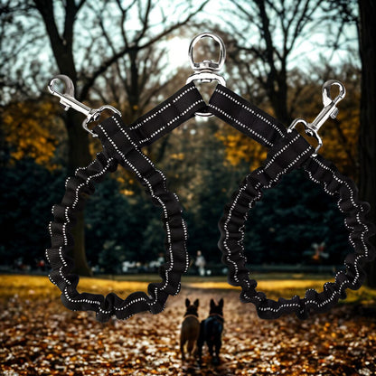 Laisse de chien fonctionnelle sans frustration