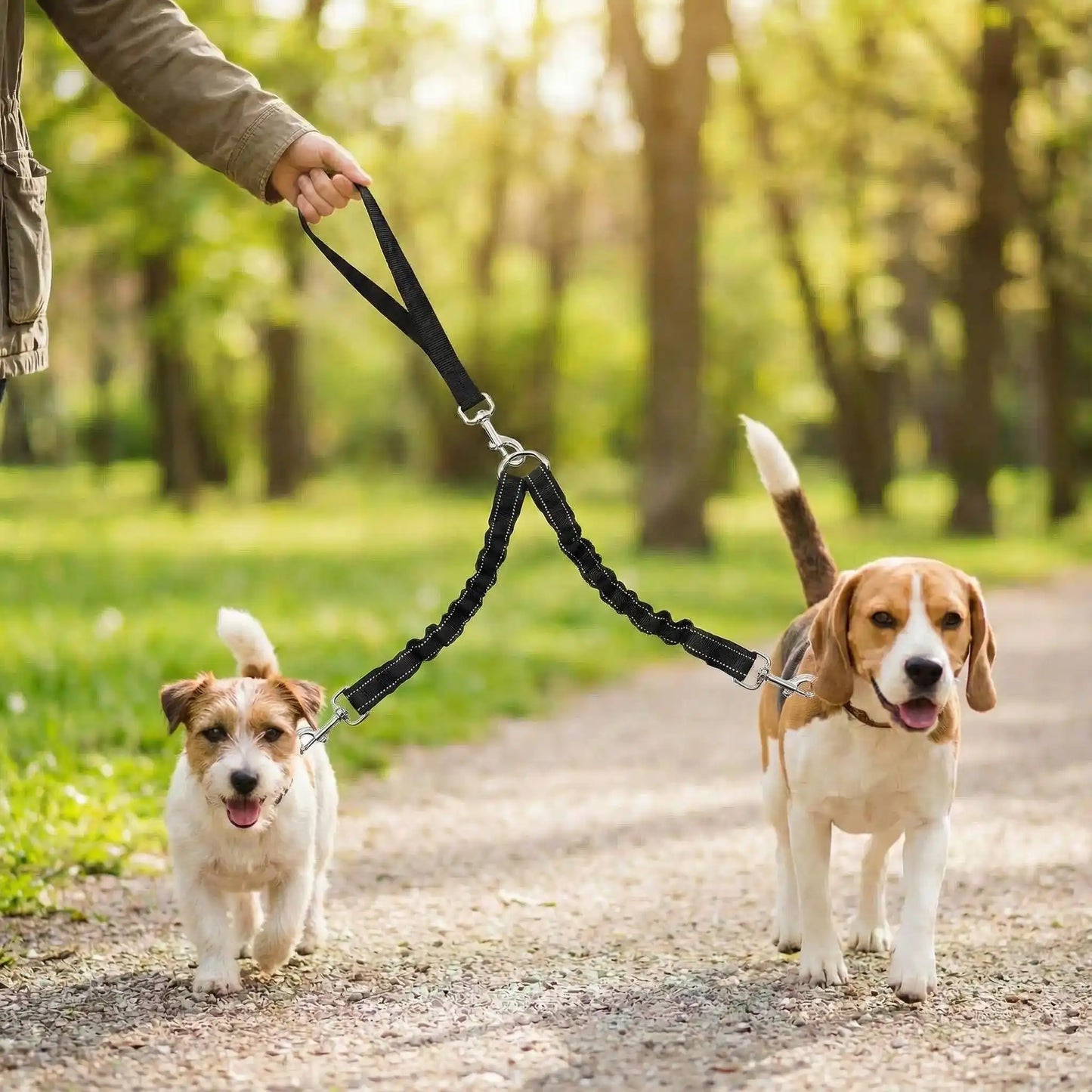 Laisse de chien liberté confort