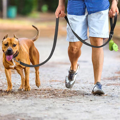 Laisse pour chien contrôle