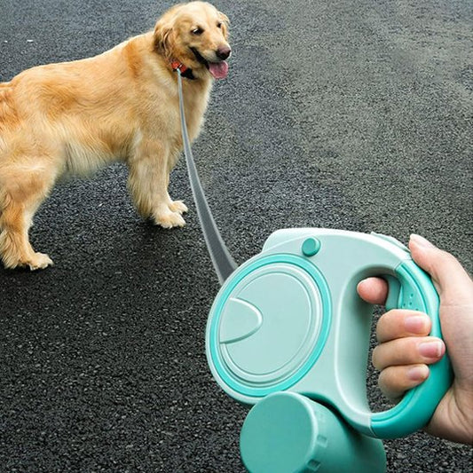 Laisse pour chien retractable avec lumière et sac
