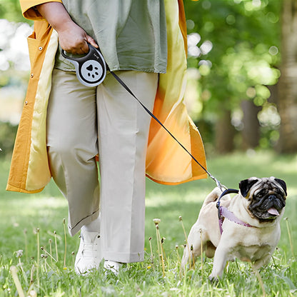 Laisse pour chien | Laisse Pat Pro™