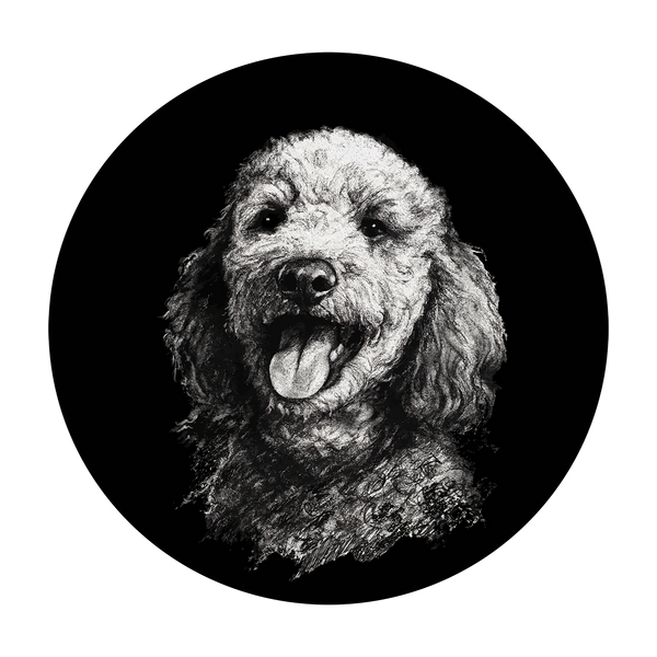 Pattes Museau et Cie