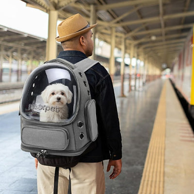 sac a dos chien sortie urbaine simplifiée