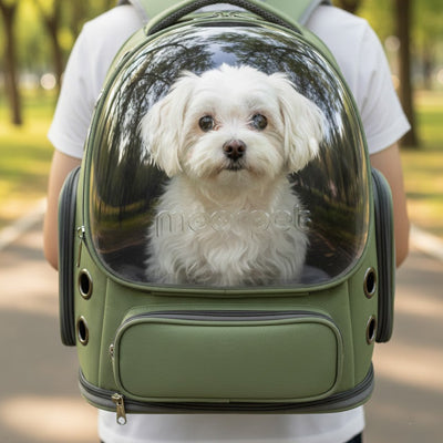 sac a dos chien transparent vue améliorée
