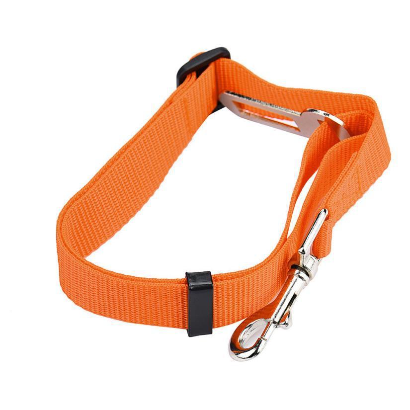 BeltPet™ - Ceinture de siège pour animal de compagnie - Pattes Museau et Cie