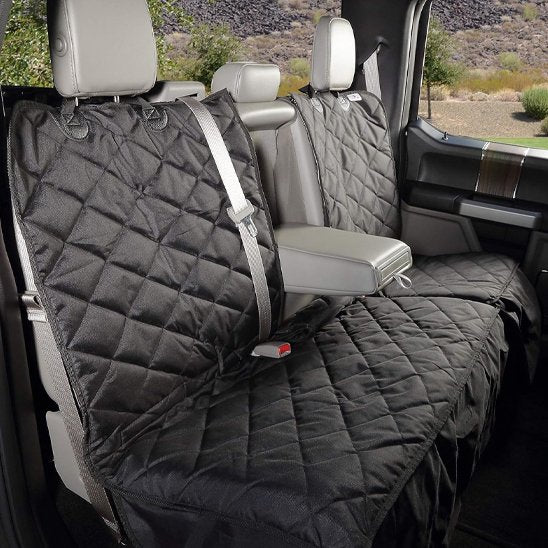 chien protection voiture Ouverture centrale