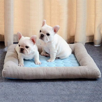 Chien tapis rafraichissant Disponible en plusieurs tailles