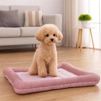 Chien tapis rafraichissant Entretien facile