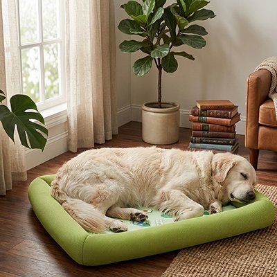 Chien Tapis rafraichissant Fond antidérapant