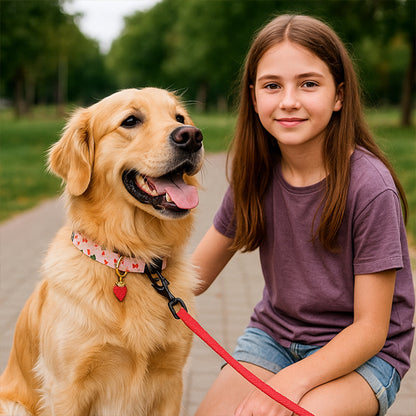 collier chien parfait