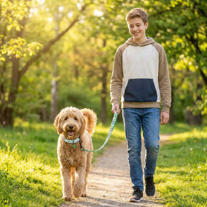 collier chien résistant en sergé