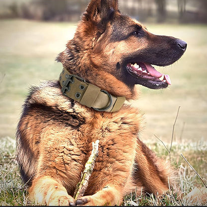 Collier chien | Patte Commando™