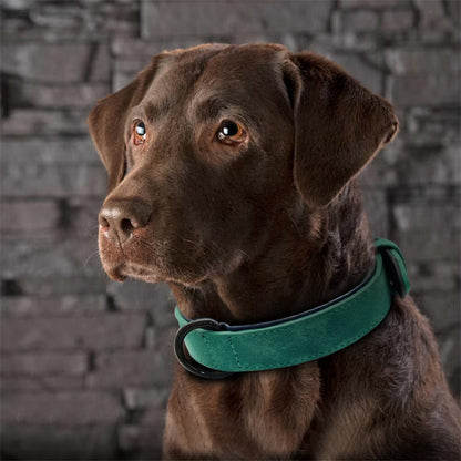 collier cuir pour chien rembourré néoprène