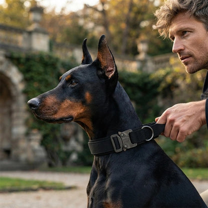 Collier de dressage pour Chien Construction double épaisseur