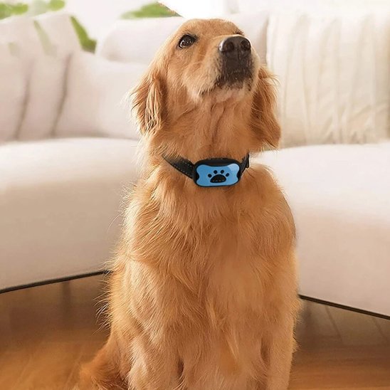 Collier de dressage pour Chien Dispositif anti-aboiement