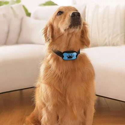 Collier de dressage pour Chien Dispositif anti-aboiement