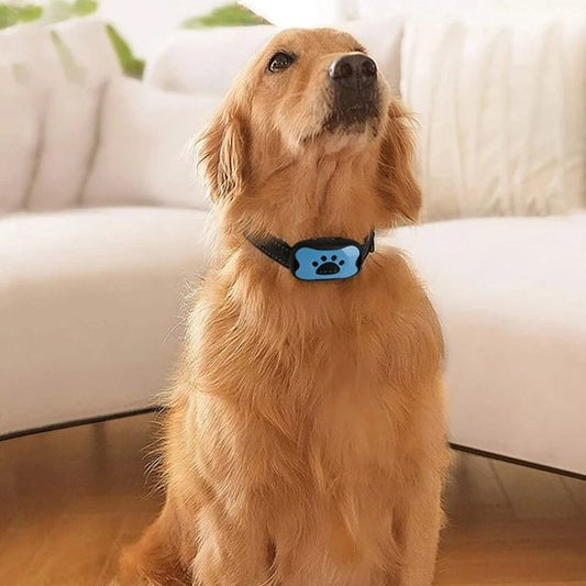 Collier de dressage pour Chien Dispositif anti-aboiement