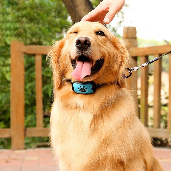 Collier de dressage pour Chien Méthode d'éducation douce