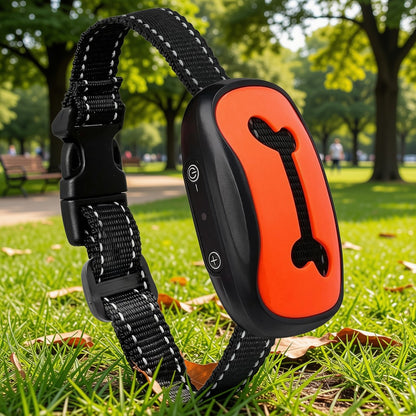 Collier de dressage pour Chien | Patte Sonar™