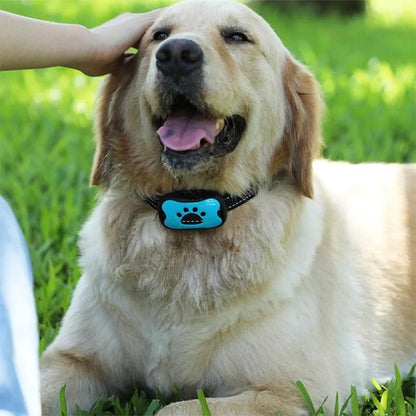 Collier de dressage pour Chien Technologie sans fil