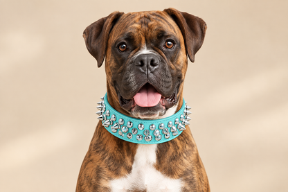 Collier en cuir pour Chien | Patte de Fer™
