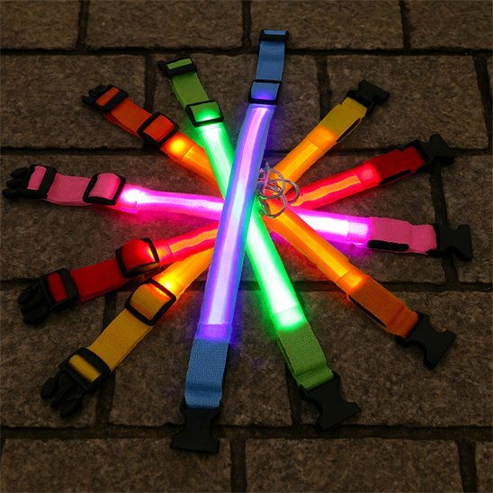 Collier lumineux chien plusieurs teintes de variante