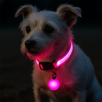 Collier lumineux chien visible et confortable