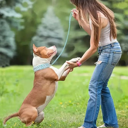 Collier pour Chien Confort au porté
