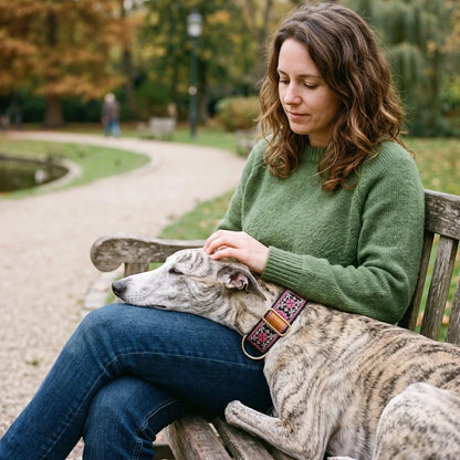 Collier pour Chien Confort d'utilisation