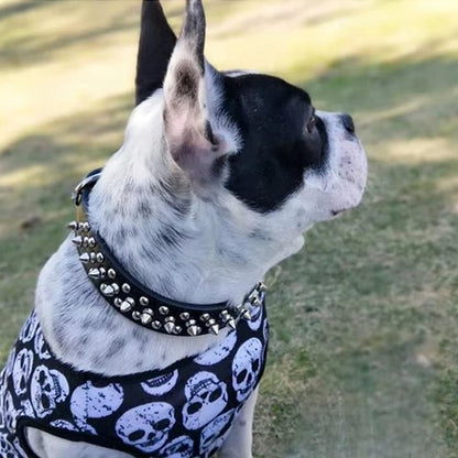 Collier pour Chien Design punk rock