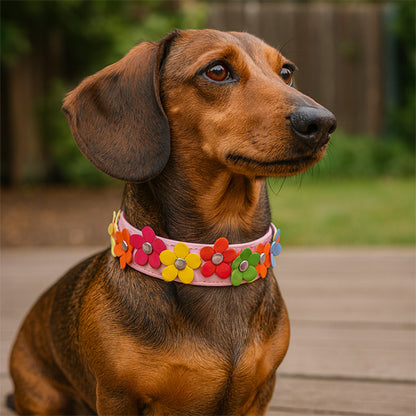 Collier pour chien | Daisy Patte - durable léger