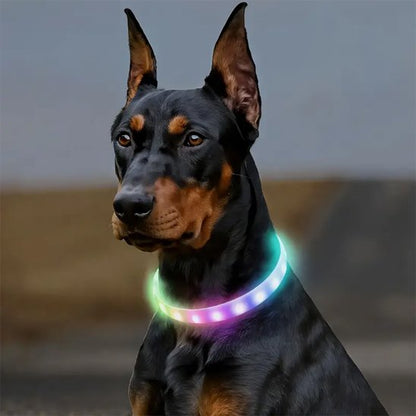 Collier pour chien Éclairage LED intégré