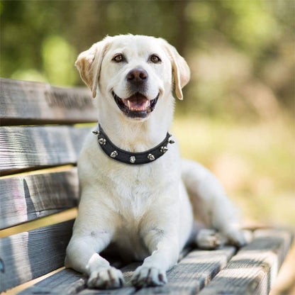 collier pour chien en cuir anti morsure ne rouille pas