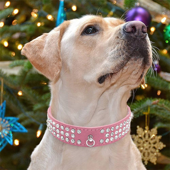 collier pour chien en cuir réfléchissant la lumière