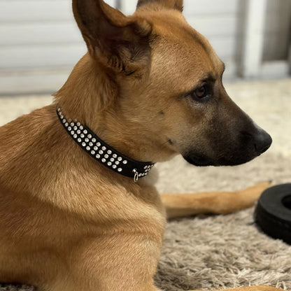 collier pour chien en cuir résistant et souple