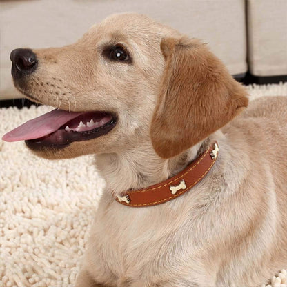 collier pour chien en cuir souple confortable